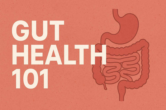Gut Health 101: Everything You Need to Know