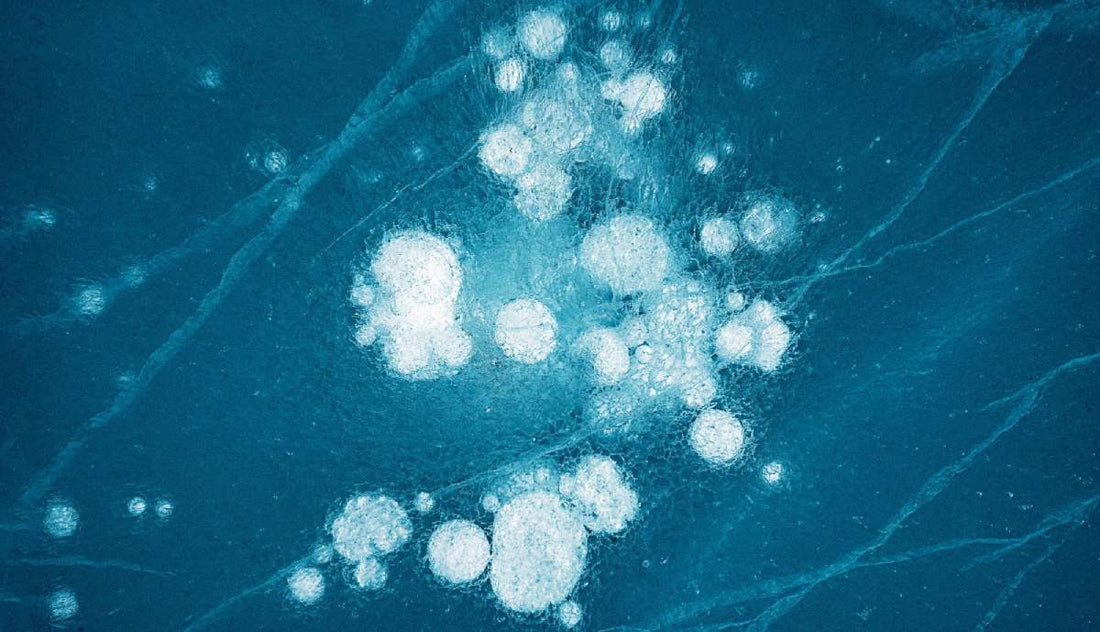 What Are Autoimmune Conditions & How Do They Work?