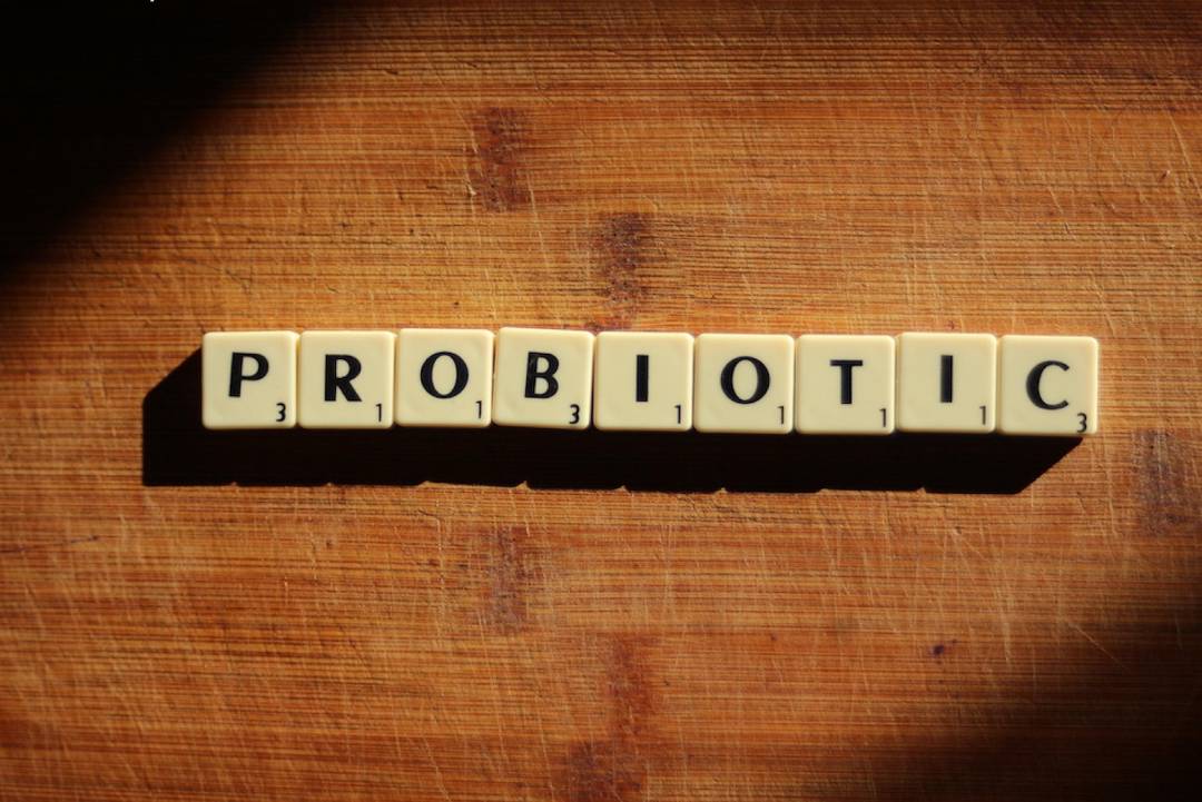 Probiotics 101: Everything You Need to Know