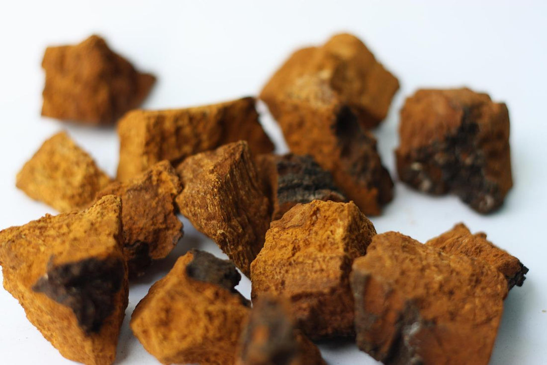 Adaptogenic Herbs 101: What You Need to Know