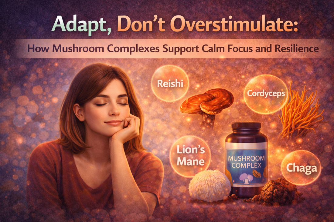 Adapt, Don’t Overstimulate: How Mushroom Complexes Support Calm Focus and Resilience