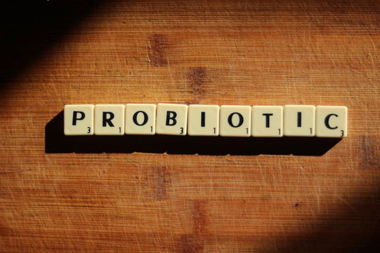 Probiotics 101: Everything You Need to Know